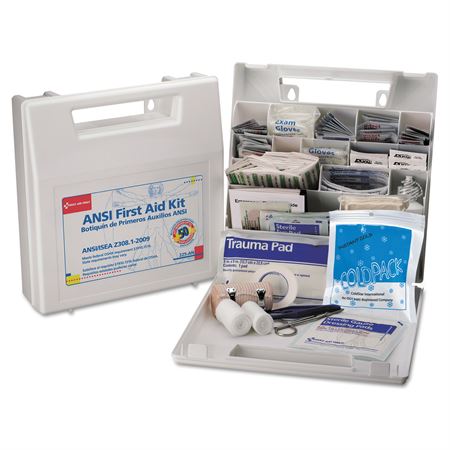 ANSI-Compliant First Aid Kit 10 Unit with Plastic Case