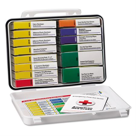 ANSI-Compliant First Aid Kit 10 Unit with Plastic Case