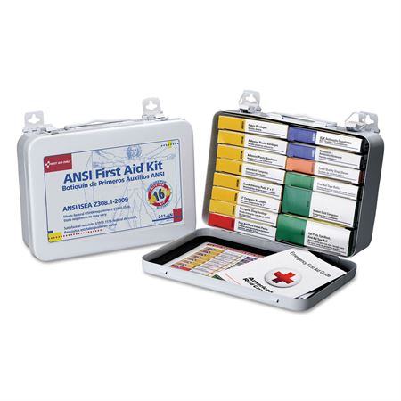 ANSI-Compliant First Aid Kit 10 Unit with Plastic Case