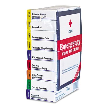 ANSI-Compliant First Aid Kit 10 Unit with Plastic Case