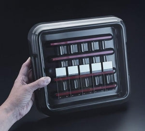 Azer Scientific Staining Trays and Lids - LID ONLY, FOR STAIN TRAY ES3072, BLACK - ES3074