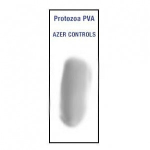 Azer Scientific Protozoa Control Slides - SLIDE, CNTRL, PROTOZOA, W/COPPER PVA, 10/BX - ESCS-134