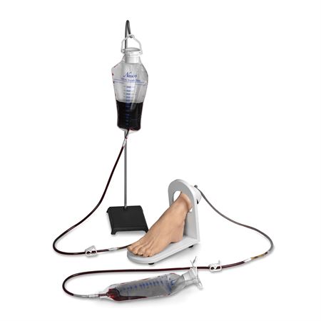 Adult IV Foot Life/form Adult IV Foot - Light