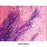 P.A.S. Stain Set Glycogen Control Slides