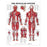 Anatomical Chart Digestive System