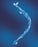 Adult Trach Care 24-Hr Double Swivel Elbow by Halyard Health