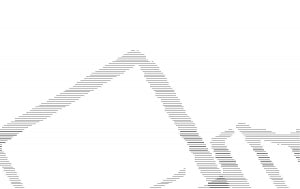 Busse Hospital Y-Connectors - Y-Connector, Plastic Tubing, Clean, 1/4" - 517