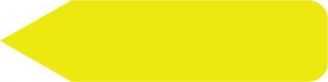 Centurion Centurion General Nursing Labels - Fluorescent Chartreuse Arrow General Nursing Label, 15/Sheet, 150/Pack - BLD733FY
