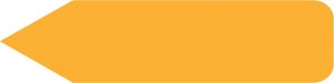 Centurion Centurion General Nursing Labels - Orange Arrow General Nursing Label, 15/Sheet, 150/Pack - BLD733K