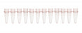 Bio Plas Thin Wall Micro Tubes - TUBE, MICRO, THIN WALL, 0.2ML, 12 TB, NATURAL - 5020-1