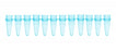 Bio Plas Thin Wall Micro Tubes - TUBE, MICRO, THIN WALL, 0.2ML, 12 TB, BLUE - 5020-4