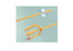 CR Bard BARDIA Silicone Coated 2-Way Catheters - Silicone-Elastomer-Coated 2-Way Foley Catheter, 5 mL, 24 Fr - 0165V24S