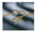 CR Bard Whistle-Tip Angled Catheters - Latex Angled Whistle-Tip Catheter, 3.5" - 07103538