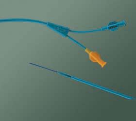 Ureteral Access Catheters by CR Bard