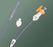CR Bard UroForce Balloon Dilation Catheters - UroForce Balloon Dilation Catheter, 4 mm Balloon, 6 Fr x 4 cm - 887406
