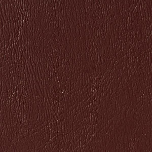 Brewer FLEX Access Exam Tables - FLEX Access Power Exam Table, Pneumatic Back, 700 lb. Weight Capacity, Cabernet - 5700-27