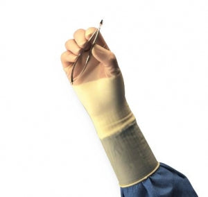 Cardinal Health Polyisoprene Micro Surgical Gloves - Micro Surgical Gloves, Polyisoprene, Size 5.5 - 2D73PM55