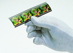 Cardinal Health Cotton Lisle Inspector's Gloves - Women's Cotton Lisle Inspector Gloves - G7301-31