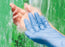 Cardinal Health Stretch Vinyl Gloves with Neu-Thera - Esteem Synthetic Powder-Free Exam Gloves with Neu-Thera, Size S - S88RX02