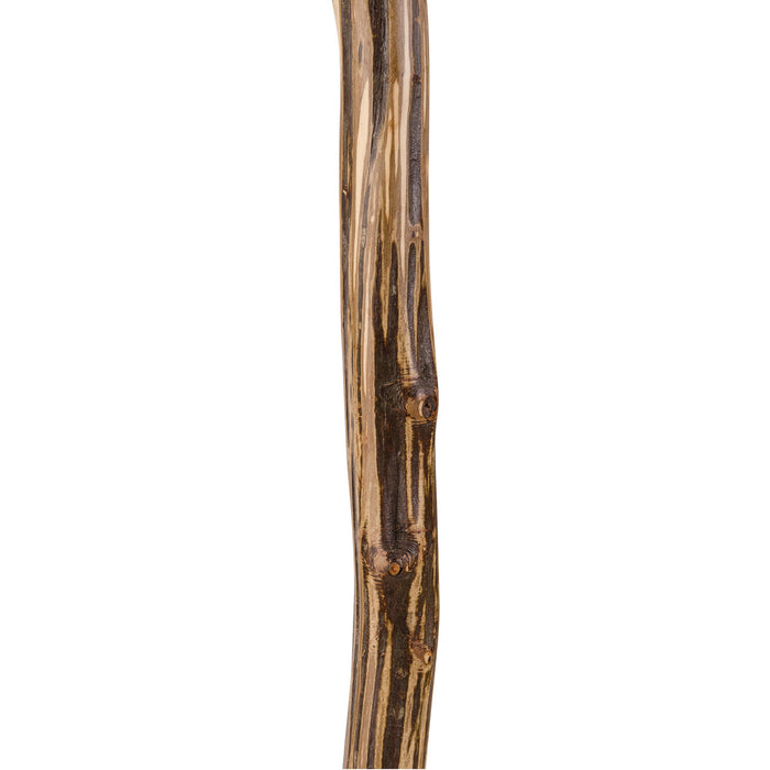 Walking Sticks