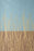 Medline Disposable Traditional Cubicle Curtains - Traditional Disposable Cubicle Curtains, Standard with Mesh, 144" x 99", Coronado - 04-120-144-99MAM