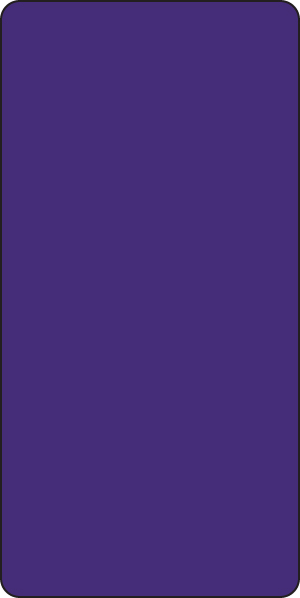 Color: Purple Dimension: 1" X 2" 250/Roll