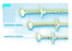 Conmed Entake Peg System - Entake Peg System Safety Push, 14 Fr - FESG1400