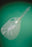Conveen External Male Catheters by Coloplast