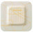 Coloplast Biatain Silicone Foam Dressings - Biatain Silicone Foam Dressing, 4" x 4" - 33445