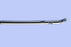 Coloplast Self-Cath Plus Olive Coudé Tip Catheters - Self-Cath Plus Intermittent Catheter, Olive Coudé Tip, Guide Stripe, Hydrophilic Coating, Sterile, 12 Fr x 16" - 4812