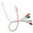 Cysto-Care Coude Foley Indwelling Catheter by Coloplast Corp