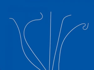 Cook Inc Polyethylene Catheters - CATHETER, POLYTHYLN, ANG, P5.0-35-65-P- - G00130