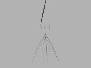Cook Inc Gunther Tulip Vena Cava Filter Retrieval Set - Gunther Tulip ...