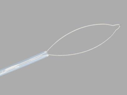 Cook AcuSnare Polypectomy Device - AcuSnare Polypectomy Oval Snare Dev ...