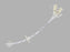 Feeding Tubes & Adapters