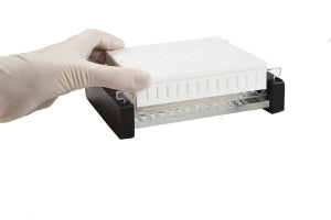 Corning Enduro 10.10 & 96 Horizontal Gel Boxes / Accessories - COMB, 25 WELL, FOR 10CM GEL SYS. 1MM THK - E1110-25-1