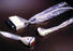 Civco Medical Vascular Access Transducer Covers - Vascular Access Transducer Cover - 610-989