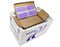 Cold Chain KoolTemp GTS Excel Shippers - SOLUTION, KLTMP, 15-3/16X15-3/16X7-1/8, DIR - GTS-26L2D-RFG-KD