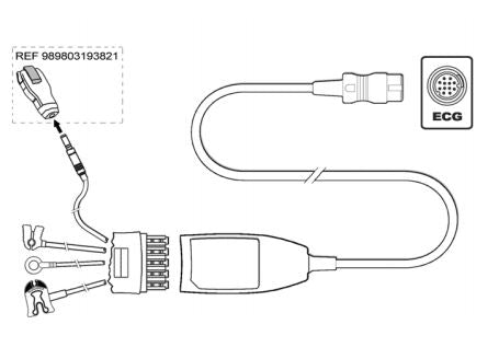 Leads