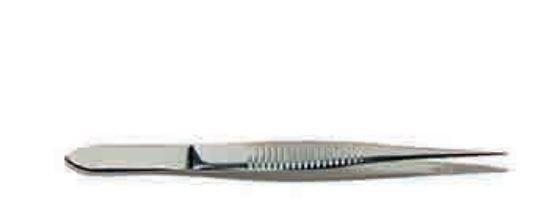 Graham-Field Splinter Forceps - Splinter Forceps, Stainless Steel, 3.5" , Serrated - 2768