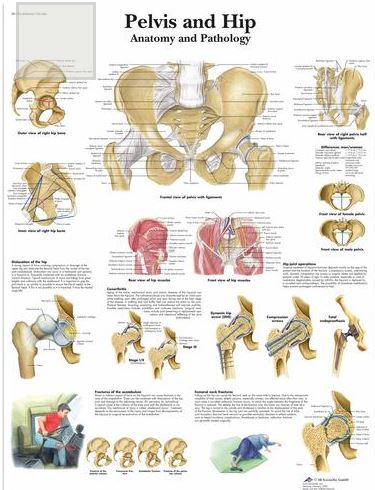 Education & Training