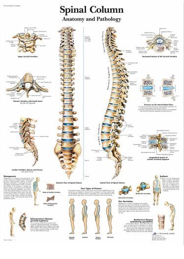 Education & Training