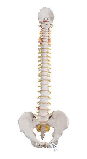 Education & Training