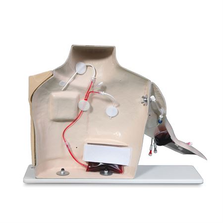 Chester-Chest-Skills-Trainer-Advanced Chester Chest Skills Trainer