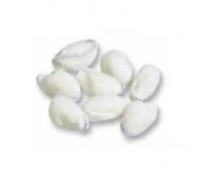 Derma Sciences Peanut Operating Room Sponges - Peanut Sponge, Sterile ...