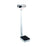 Detecto Mechanical Eye-Level Physician Scales - Stainless Steel Mechanical Physician Scale with Height Rod, Weight Capacity 400 lb. (175 kg) - 339S