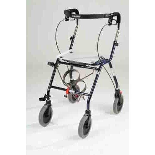 Invacare Corporation Dolomite Walkers & Accessories Oxygen Cylinder — Grayline Medical