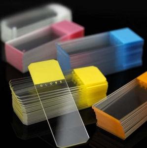Globe Scientific Inc Positive Charge Frosted Microscope Slides - 90° Slide with Ground Edge, Positively Charged, Frosted, Tan - 1358T