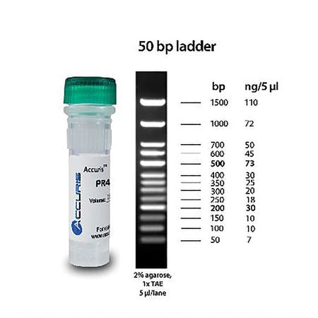 Accuris SmartCheck 100bp DNA Ladder 5x500ul/500lanes