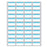 Label Laser Piggyback Paper Permanent 4 1 3/4" X 3/4" White With Blue 44 Per Sheet, 250 Sheets Per Box